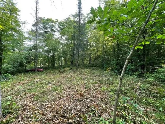 0 Colton Road, Minong, WI 54859 - #3