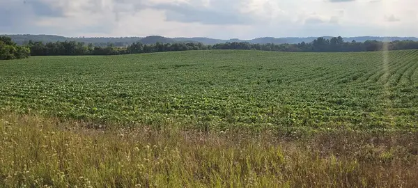 000 Casper Road, Alma Center, WI 54611