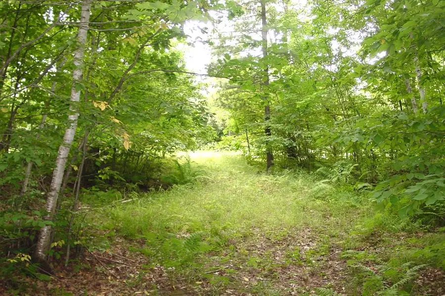 80 Acres on Bailey Road, Bruce, WI 54819 - #3