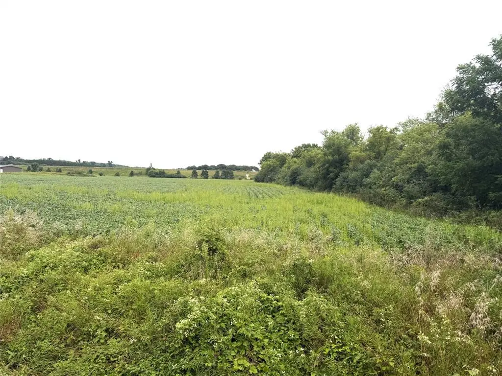 Lot 4 Van Tassel Rd, Osseo, WI 54758 - #1