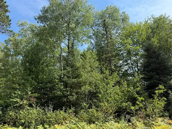 Lot 38 & 39 Stone Pine Drive, Cable, WI 54821