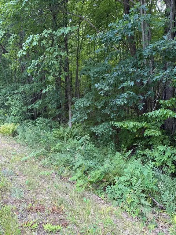 00 S County Road G, Boyd, WI 54726