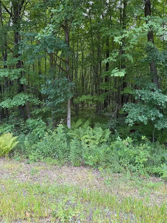 00 S County Road G, Boyd, WI 54726 - #2