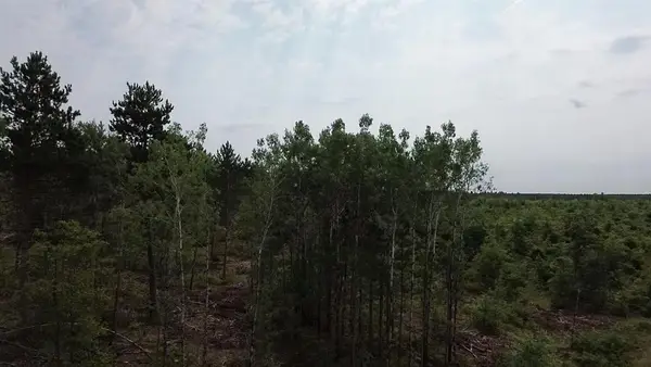 22XX Tomahawk Lake Road, Barnes, WI 54873
