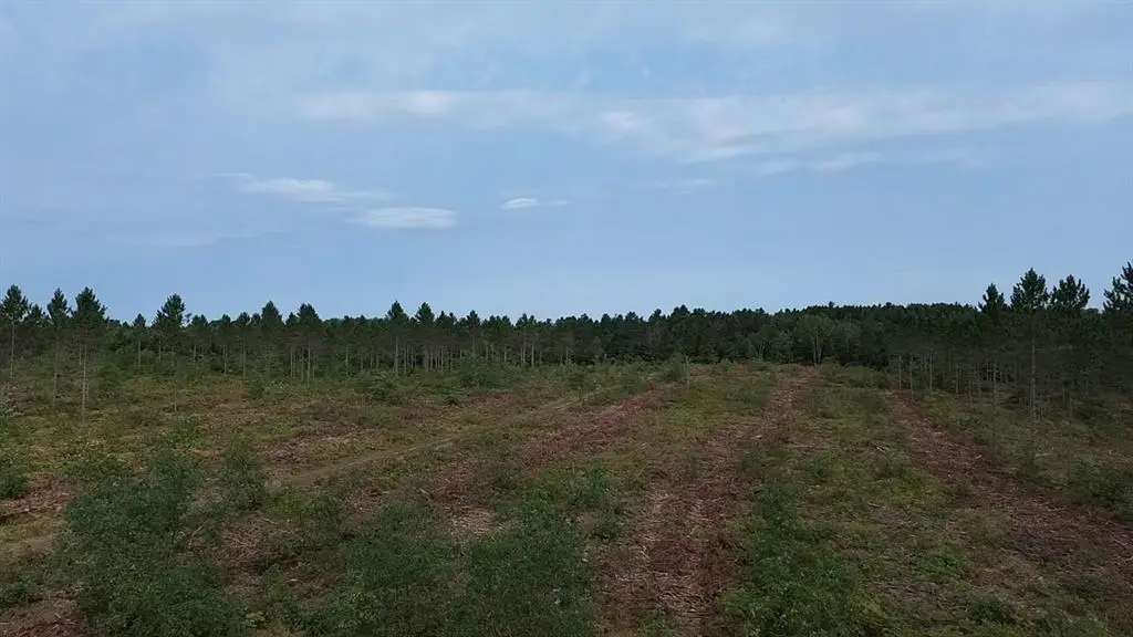 21XX Ellison Lake Road, Barnes, WI 54873 - #1