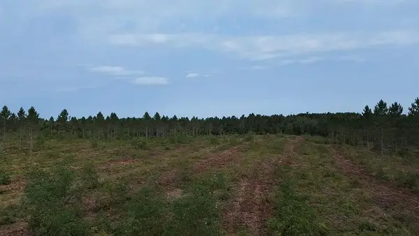 21XX Ellison Lake Road, Barnes, WI 54873