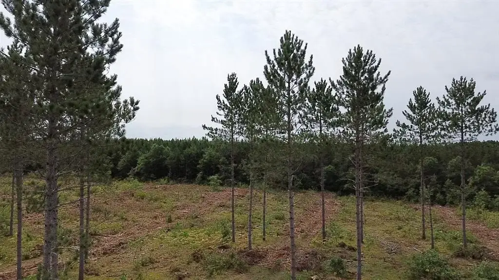 211X Ellison Lake Road, Barnes, WI 54873 - #1