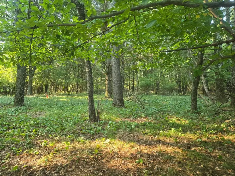 Lot 2 75th Ave, Chippewa Falls, WI 54729 - #3