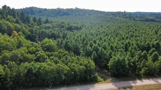 N12669 Monthei Road, Alma Center, WI 54611 - #2