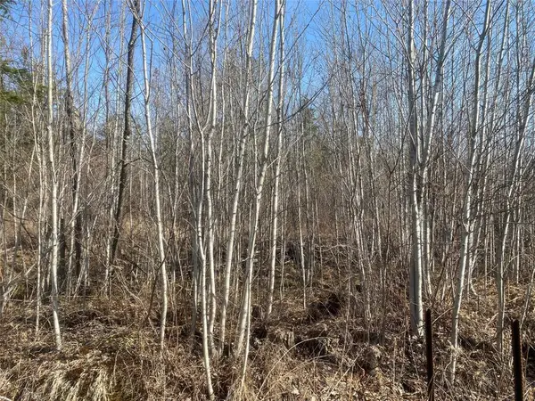Near Tom Green Road, Solon Springs, WI 54873