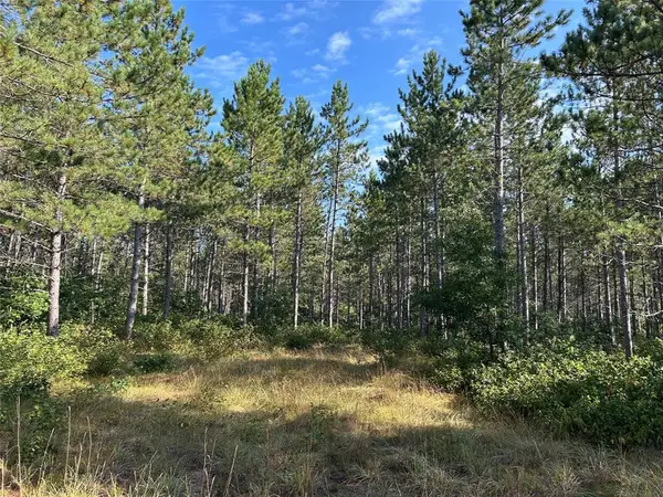 Near County Road Y, Gordon, WI 54838
