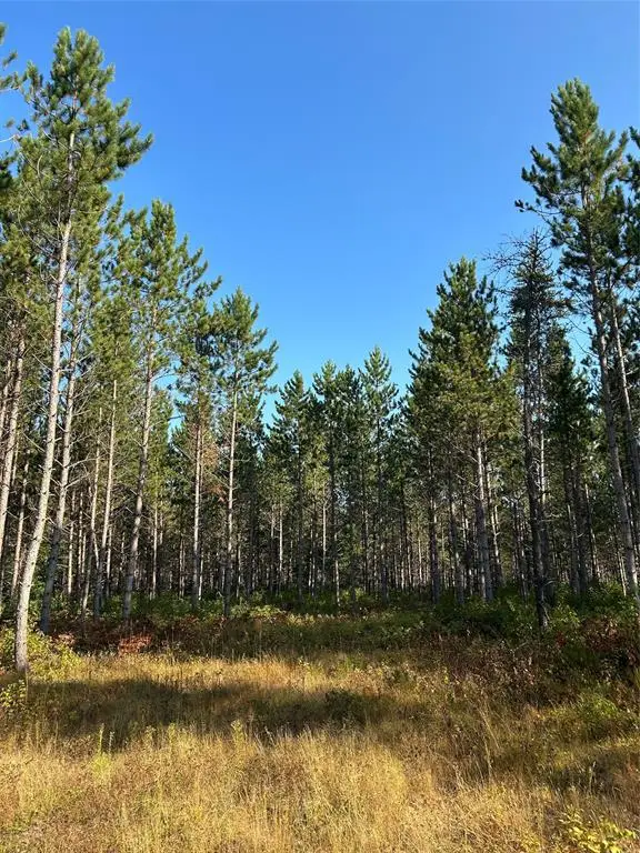 Near East Mail Road, Gordon, WI 54838