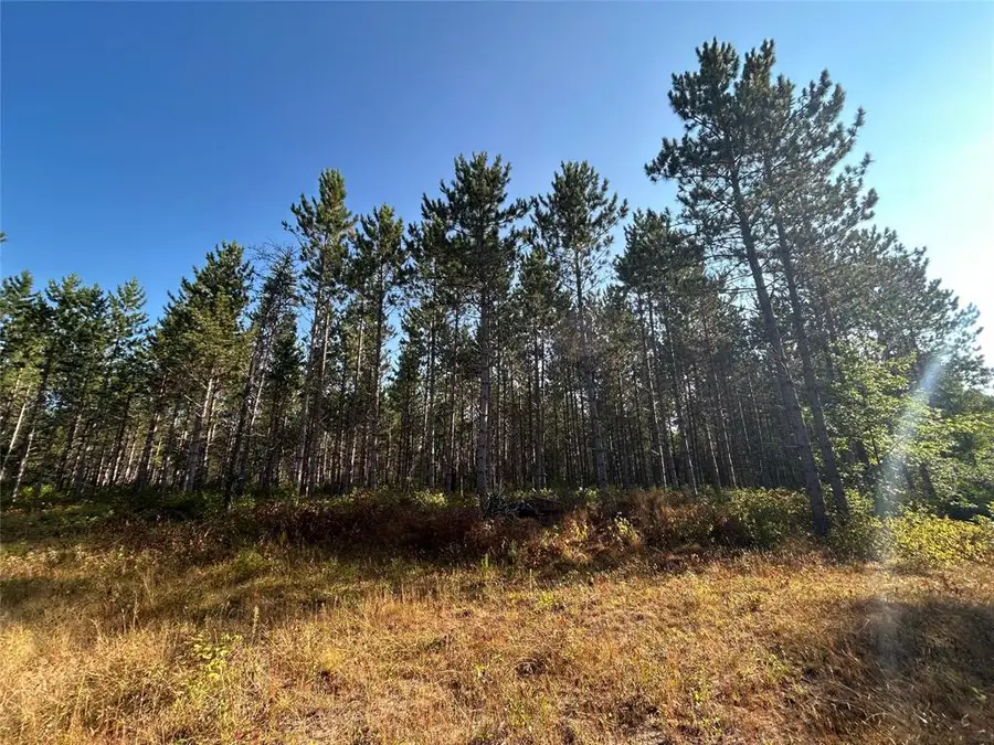 Near East Mail Road, Gordon, WI 54838 - #2