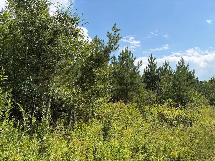 On Charles Johnson Road, Ashland, WI 54806 - #3