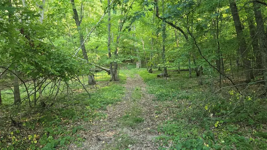 E01 State Highway 64, Colfax, WI 54730 - #2