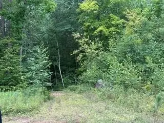 10810N Dachstein Lane, Hayward, WI 54843 - #3