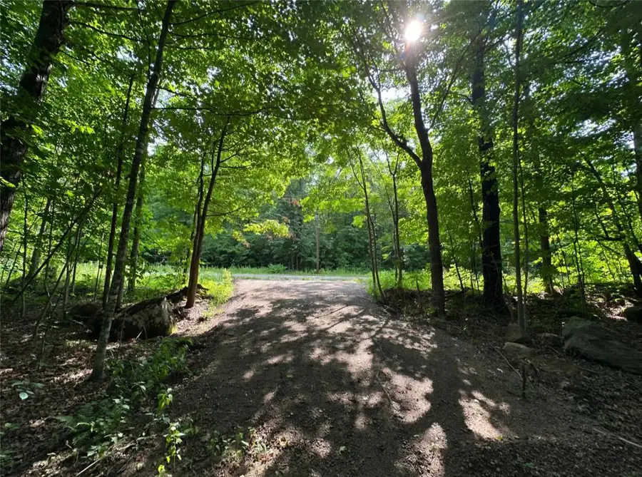 Lot 5 Deer Lake Road, Exeland, WI 54835 - #2