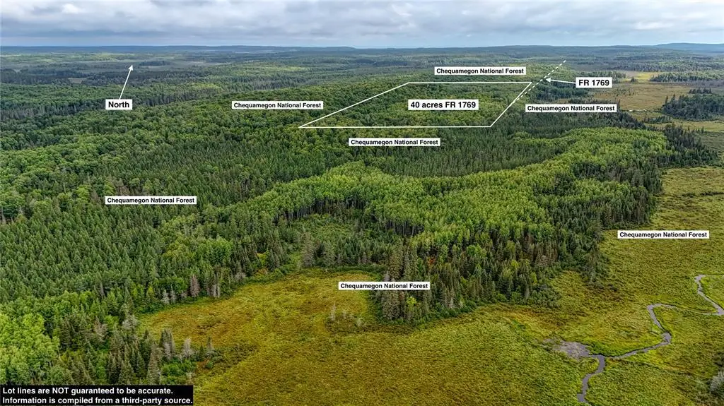 40 acres on FR 1769, Cable, WI 54821 - #1