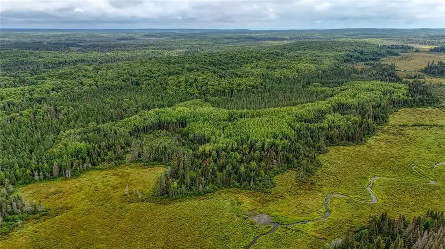 40 acres on FR 1769, Cable, WI 54821 - #2