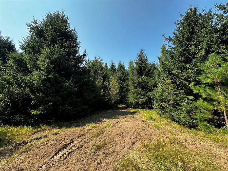 N9679 630th Street, Colfax, WI 54730 - #2