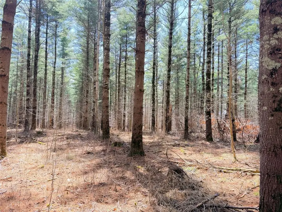 0 Star Lake Road, Rice Lake, WI 54868 - #3