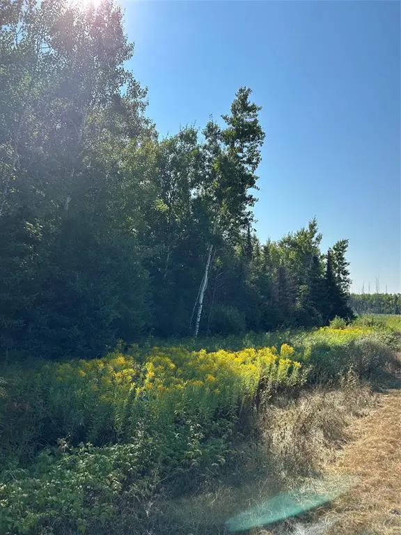 On Highway 53, Lake Nebagamon, WI 54849 - #3