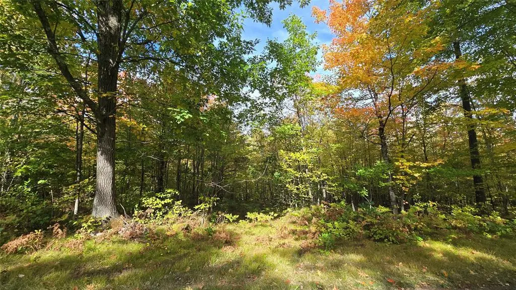 Lot 30 Woodcrest Drive, Cable, WI 54821 - #1