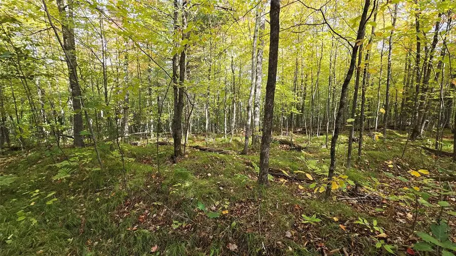 Lot 30 Woodcrest Drive, Cable, WI 54821 - #2