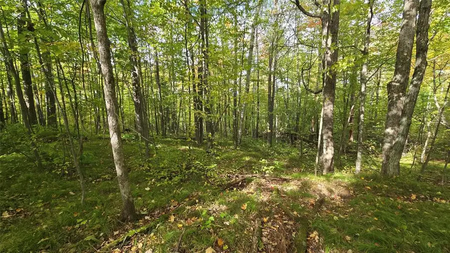 Lot 30 Woodcrest Drive, Cable, WI 54821 - #3