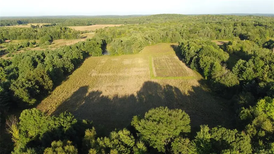 Lot 1 340th Avenue, Clam Falls, WI 54837 - #3