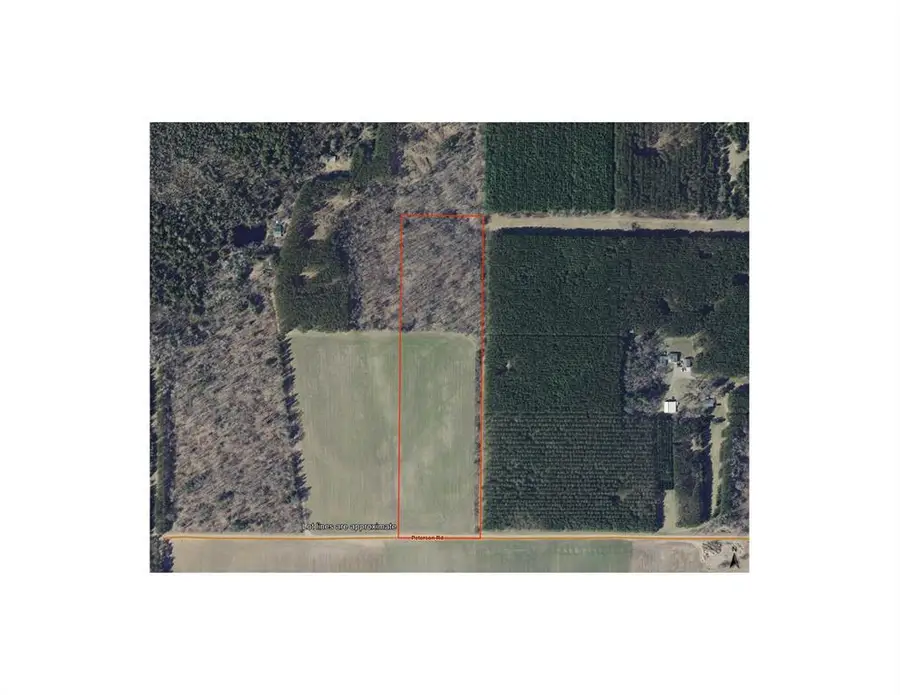 10 Acres Peterson Road, Bruce, WI 54819 - #2