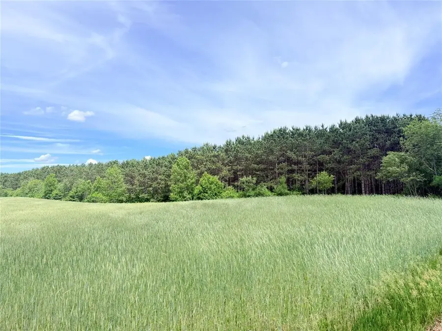 10 Acres Peterson Road, Bruce, WI 54819 - #3