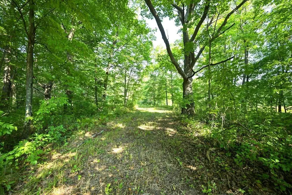 00 10 1/2-28 1/2, Barronett, WI 54813 - #1