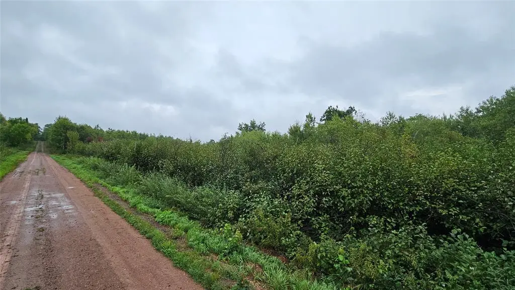 0 Anderson Lane, Radisson, WI 54821 - #1