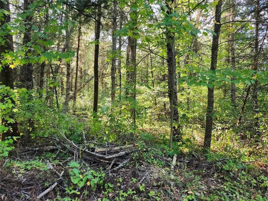 7821W Koeppler Road, Ojibwa, WI 54862 - #3