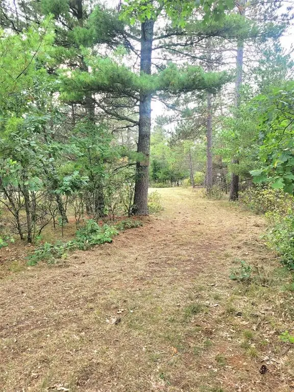 0 Blueberry Road, Gordon, WI 54838 - #3