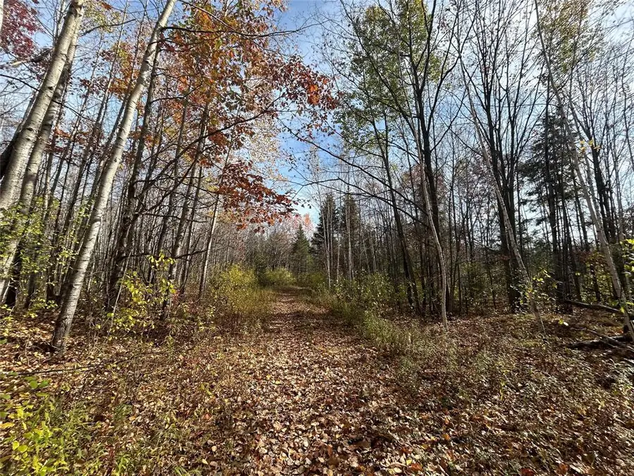 On Dean Road, Ladysmith, WI 54848 - #2