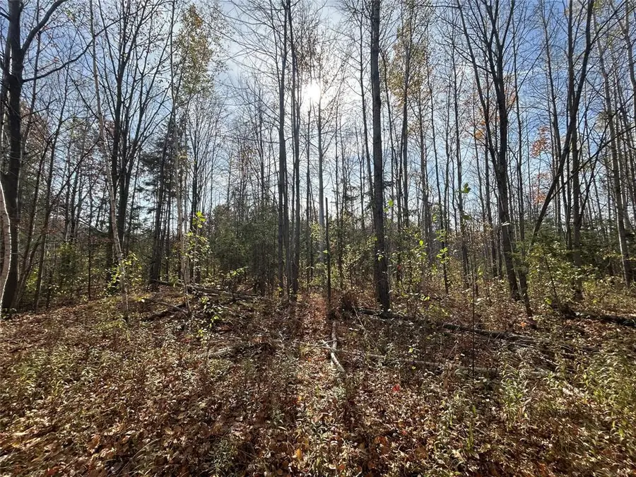 On Dean Road, Ladysmith, WI 54848 - #3