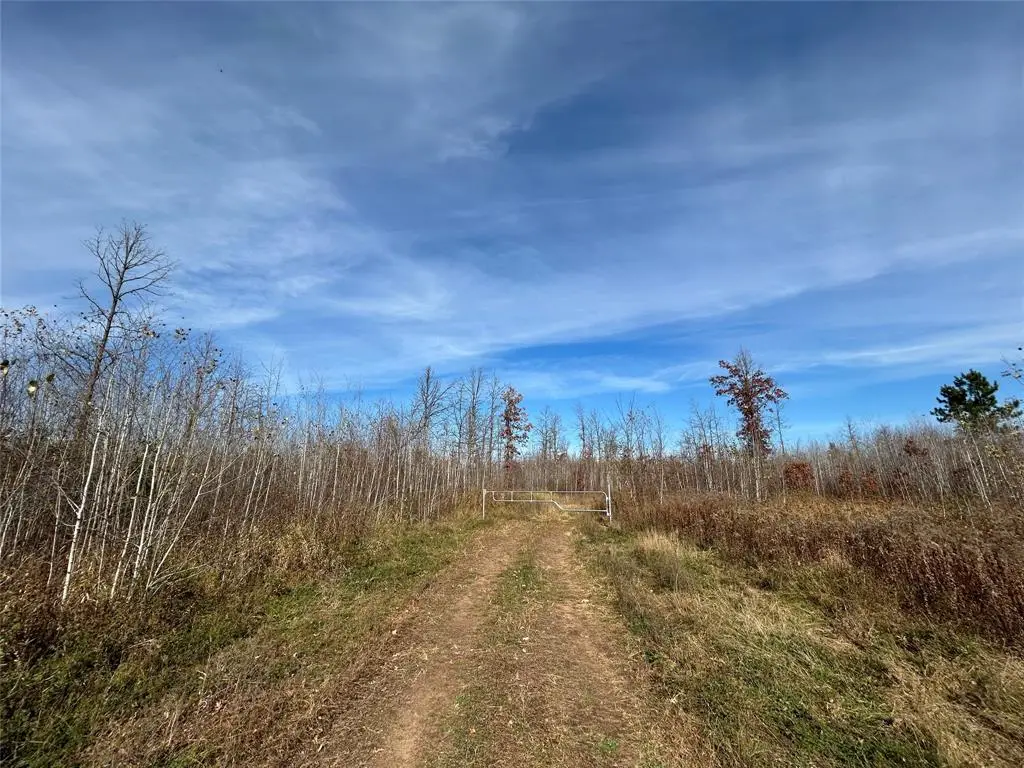 On Broken Arrow Road, Holcombe, WI 54745 - #1