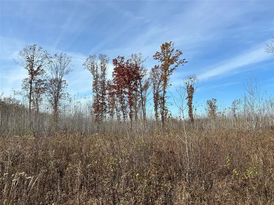 On Broken Arrow Road, Conrath, WI 54731 - #2