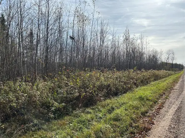 On Sheep Camp Road, Ladysmith, WI 54848