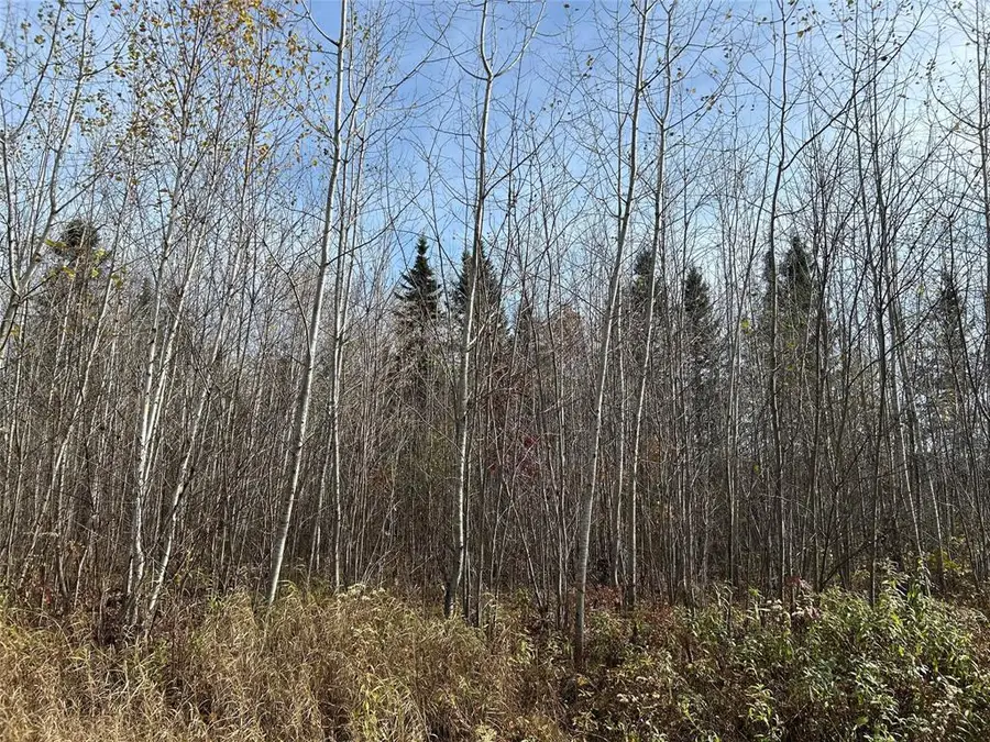 On Sheep Camp Road, Ladysmith, WI 54848 - #2