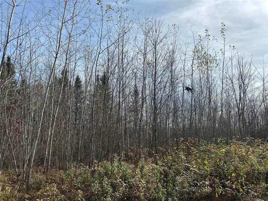 On Sheep Camp Road, Ladysmith, WI 54848 - #3