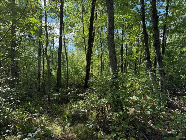 0 Shell Creek Road, Minong, WI 54859