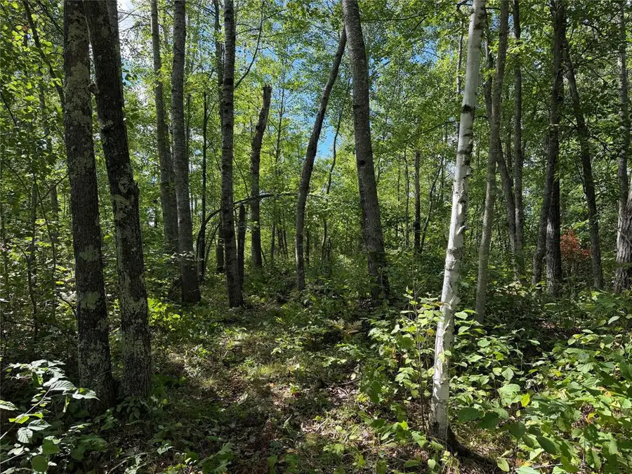 0 Shell Creek Road, Minong, WI 54859 - #2