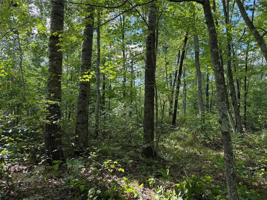 0 Shell Creek Road, Minong, WI 54859 - #3