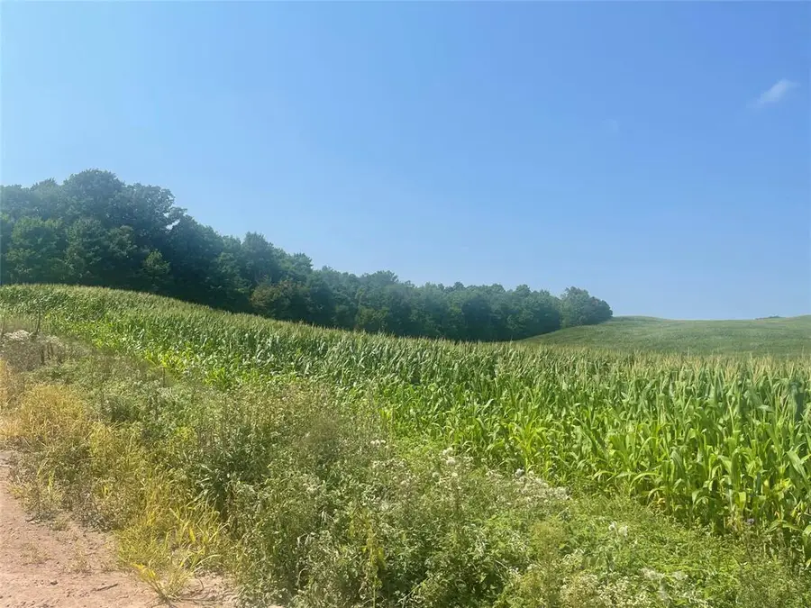 XX 190th Street, Saint Croix Falls, WI 54024 - #3