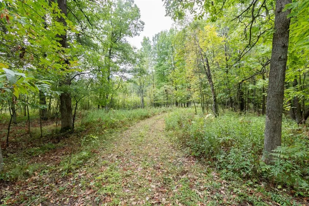 20 Acres 153rd Avenue, Balsam Lake, WI 54810 - #1