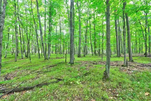 0 Twin Lake Road, Hayward, WI 54843