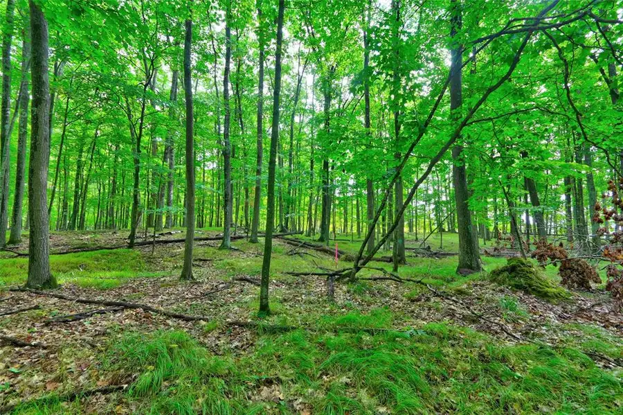 0 Twin Lake Road, Hayward, WI 54843 - #2